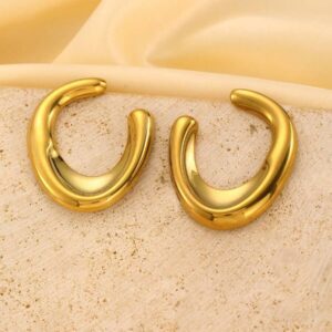 Stainless Steel Elegant Stud Earring