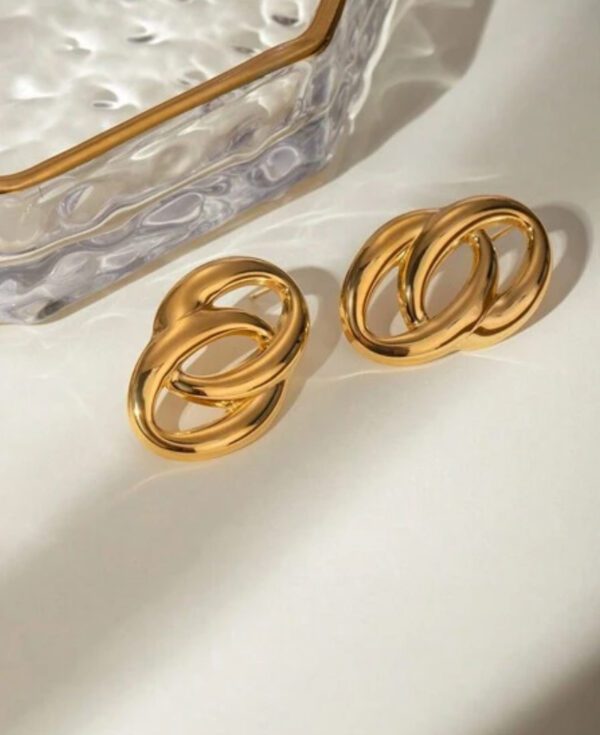 Stainless Steel Double Oval Earrings